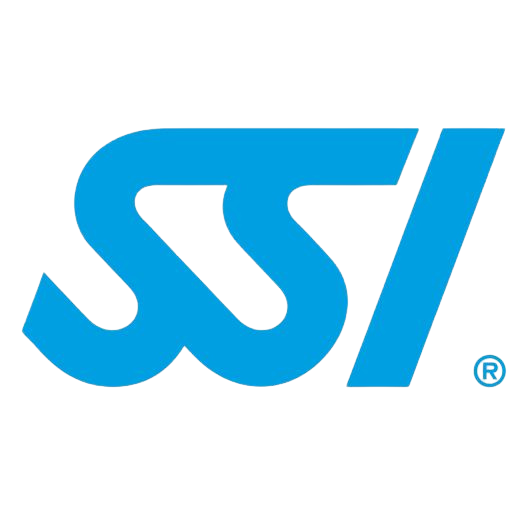 SSI